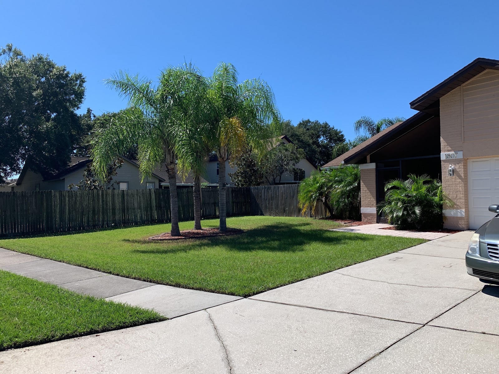 Mowed lawn with sharp edge along the driveway