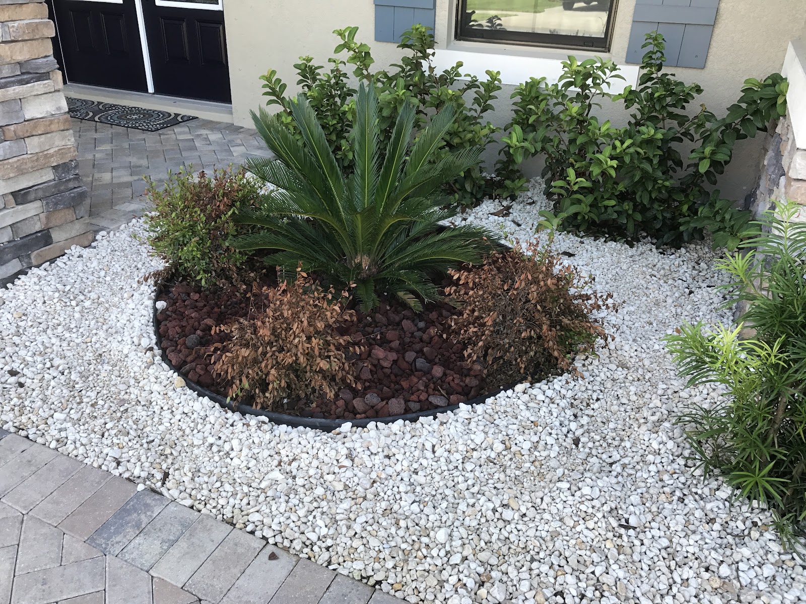Wide view of a finished lawn