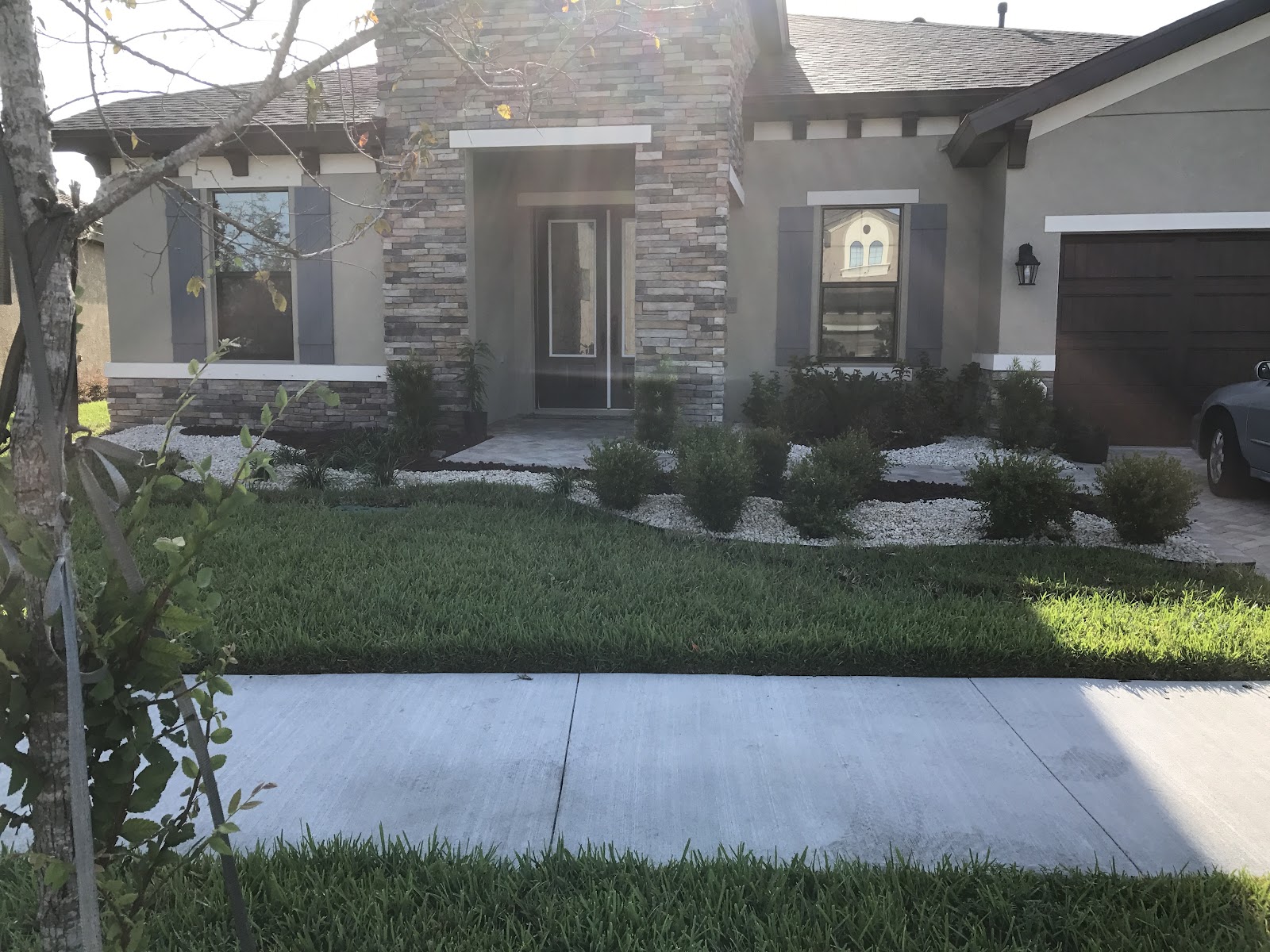 New sod laid across a front yard
