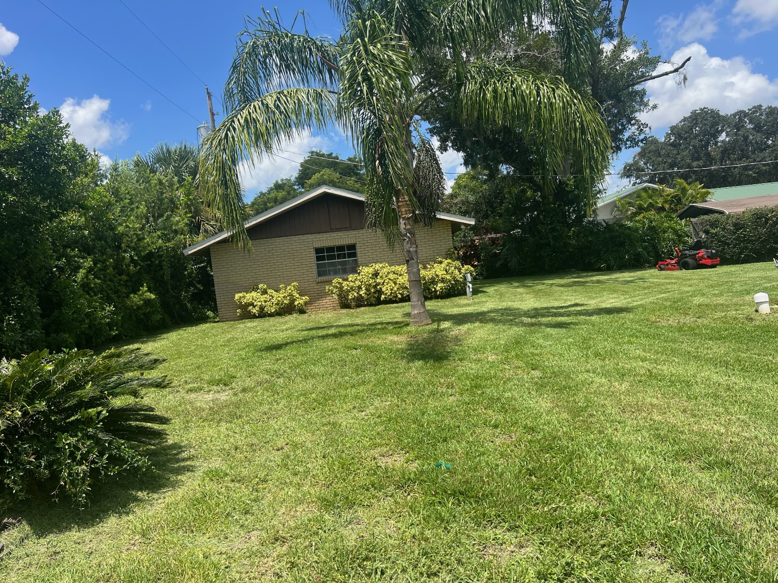 Fence line along a property in Brandon, Florida