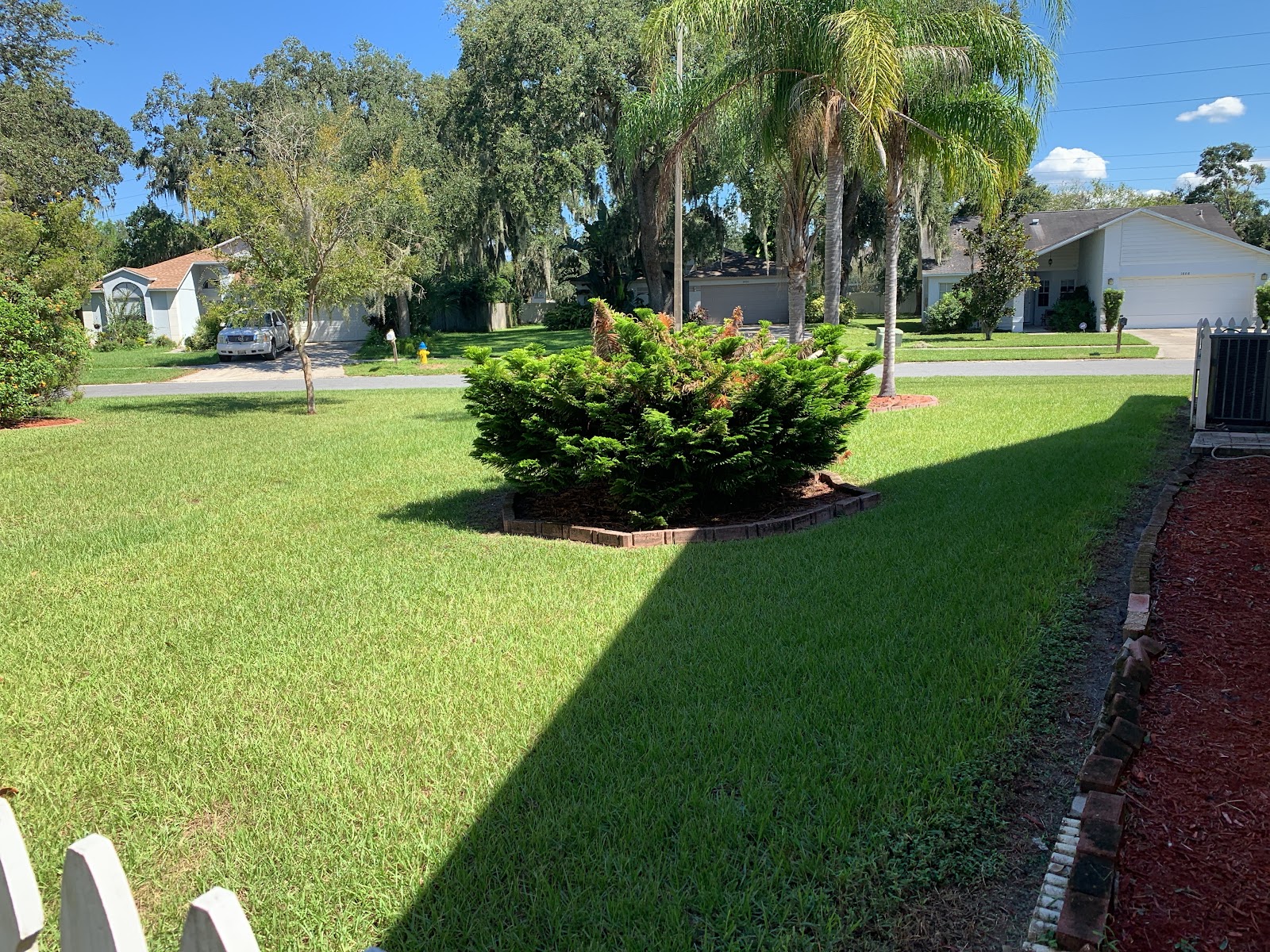Evening light across a maintained lawn