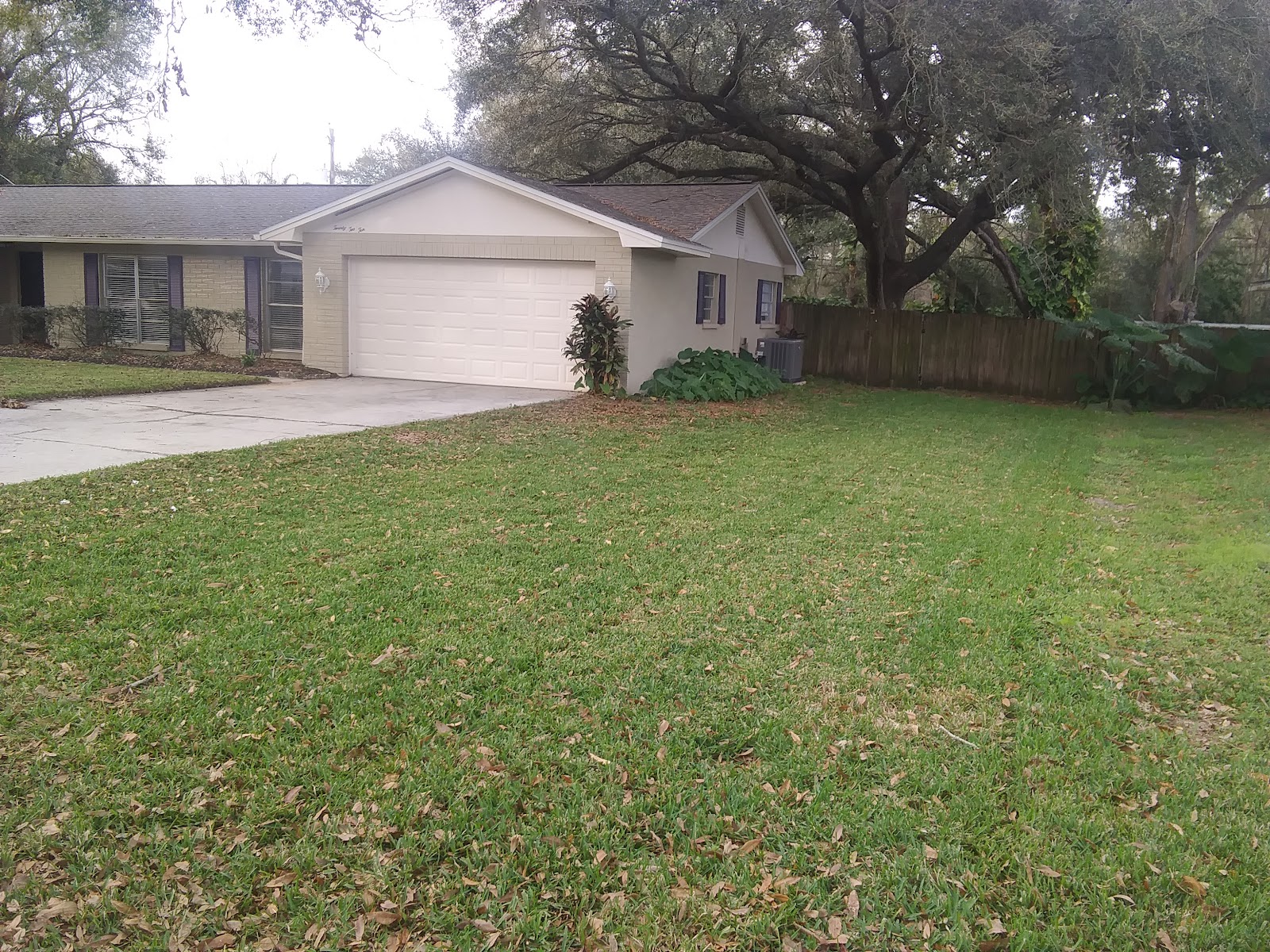 Lawn at dusk in Brandon, Florida