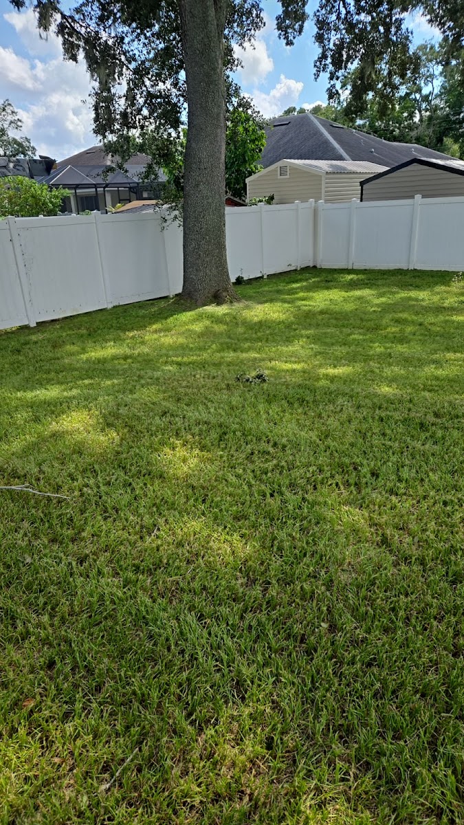 Tree work on a residential lot